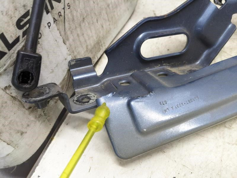 18-23 Ford Expedition Hood Hinges w Lift Cylinder Shocks JL1Z-16796-A OEM *ReaD* - Alshned Auto Parts