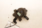 22-26 Ford Expedition MAX XLT 3.5L Engine Auxiliary Water Pump ML34-18D473-EE - Alshned Auto Parts
