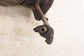 16-20 Hyundai Elantra Value Edition 2.0L Front Exhaust Muffler Pipe 28610-F2400 - Alshned Auto Parts