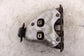 2017-2025 Mitsubishi Outlander Sport SE 2.0L Exhaust System Manifold 1555A9515