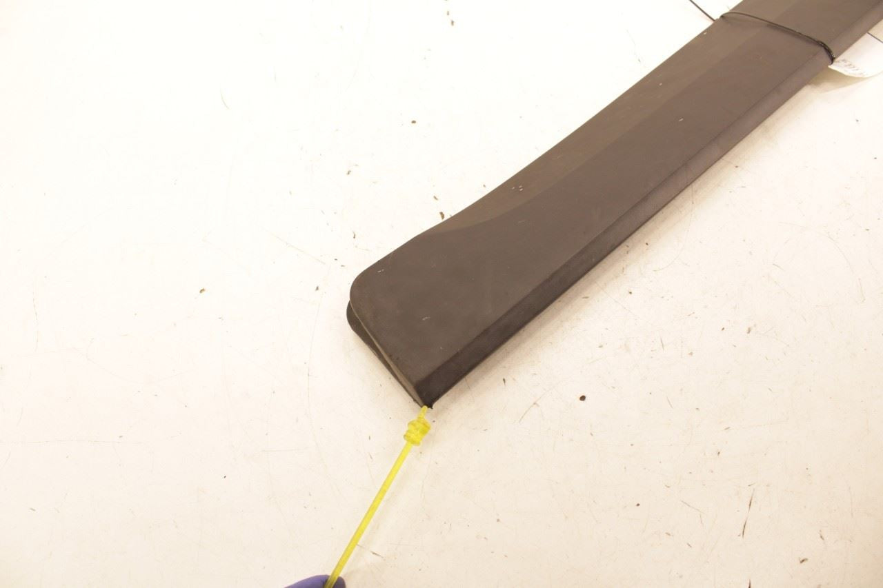 18-22 Ford EcoSport SE Front Right Door Lower Body Molding CN15-20848-DAW *ReaD - Alshned Auto Parts