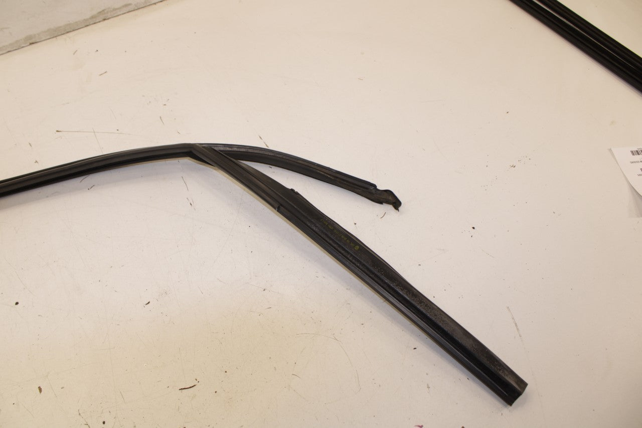 2018 Volkswagen Atlas S FR LH Door Run Channel w/ Belt Molding and Weatherstrip - Alshned Auto Parts