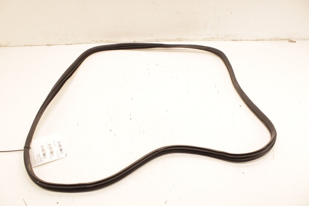22-25 Hyundai Tucson SEL Rear Left Driver Door Weatherstrip On Body 83110-CW000 - Alshned Auto Parts