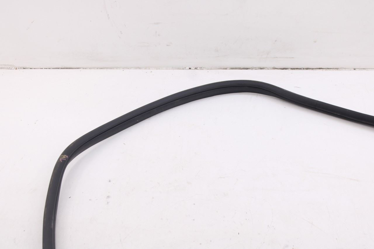 2020-2026 Hyundai Palisade Limited AWD Rear Left Side Door Weatherstrip On Body4