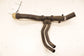 22-26 Ford Expedition MAX XLT 3.5L Radiator Lower Water Coolant Hose NL1Z-8286-B - Alshned Auto Parts