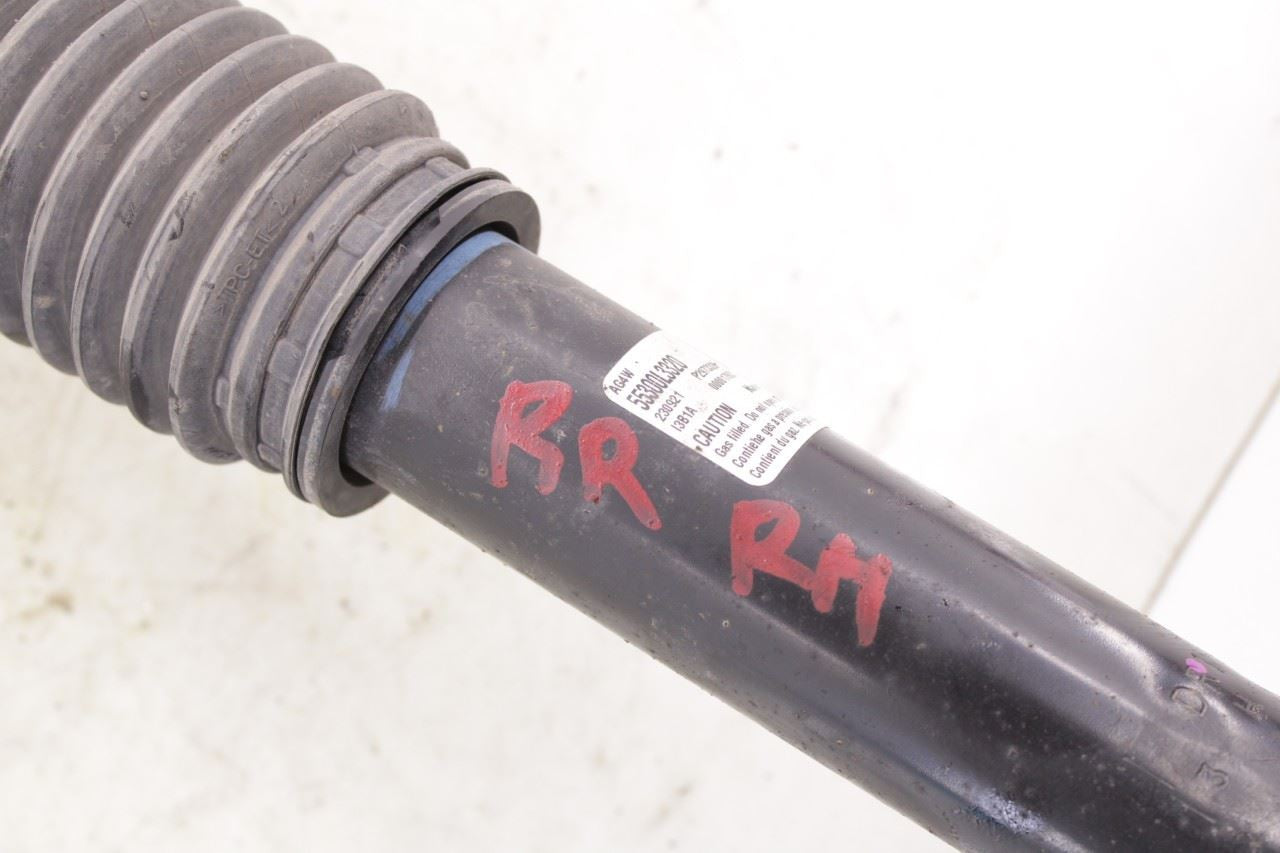 2021-2024 Kia K5 GT-Line 1.6L AWD Rear Right Passenger Side Shock Strut Absorber - Alshned Auto Parts