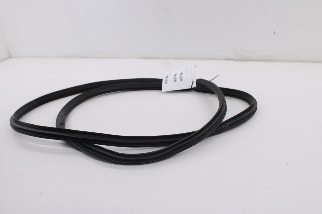 2019-2026 Ram 1500 Big Horn Front Left Side Door Weatherstrip On Body 68402032AA3
