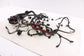 2012 Audi A7 Premium 3.0L Gas Engine Wire Wiring Harness 4G1971072EN OEM2