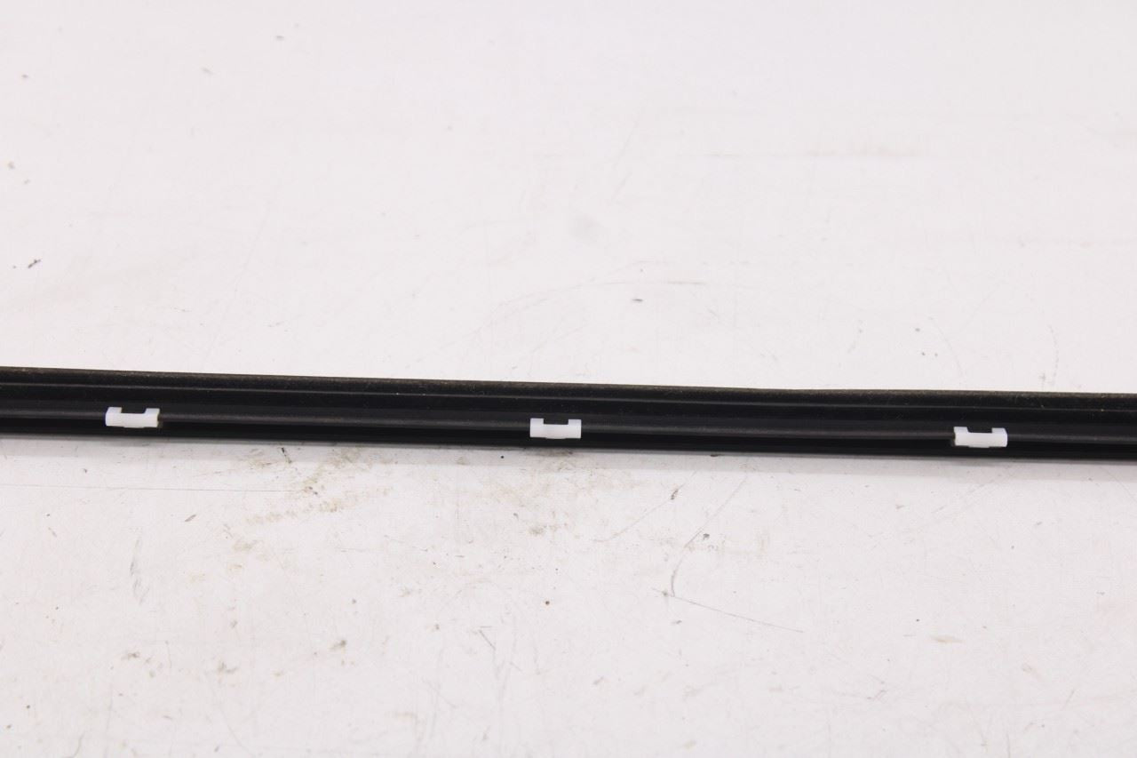 20-26 Hyundai Palisade Limited AWD Rear Left Door Molding Belt Weatherstrip Set9