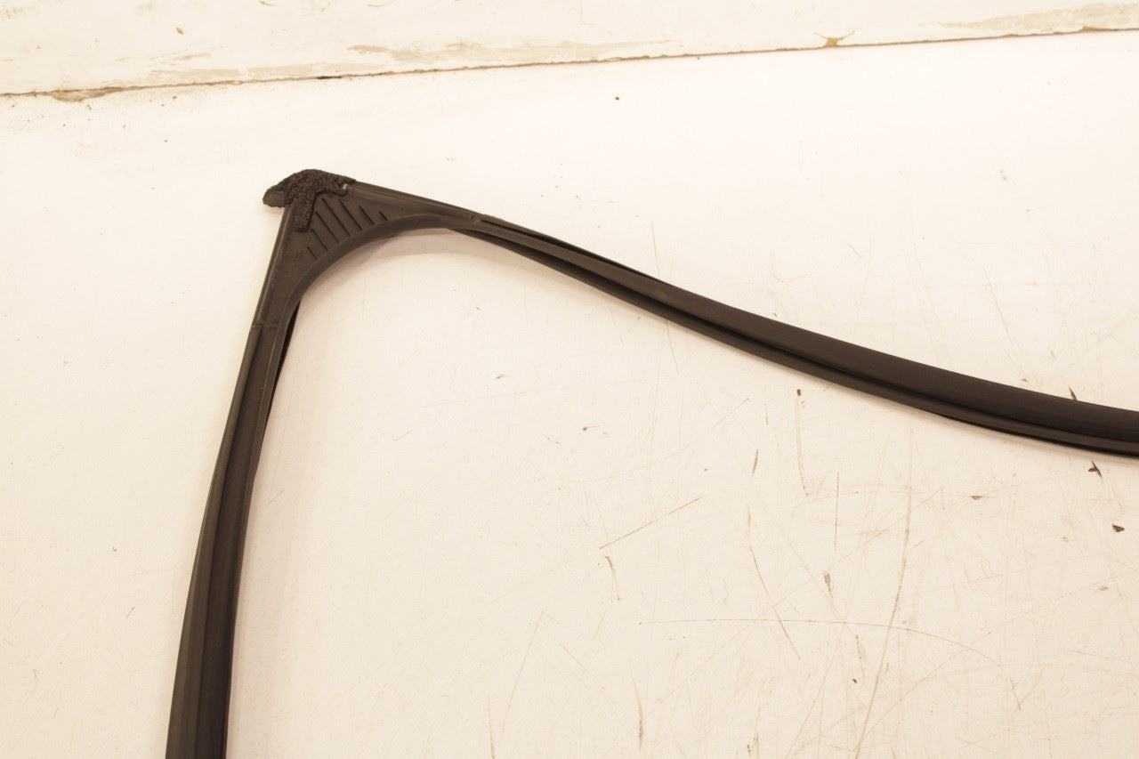 23-26 Acura Integra A-Spec FR LH Door Run Channel with Belt Molding Weatherstrip - Alshned Auto Parts