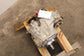 16-23 Toyota Tacoma Limited 3.5L 6 cylinder 2GRFKS AT Transfer Case 36110-04030 - Alshned Auto Parts