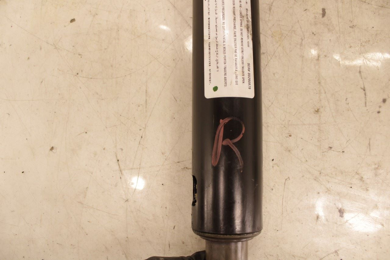 19-25 Acura RDX SH-AWD Rear Right and Left Liftgate Power Lift Strut Set of 2 - Alshned Auto Parts