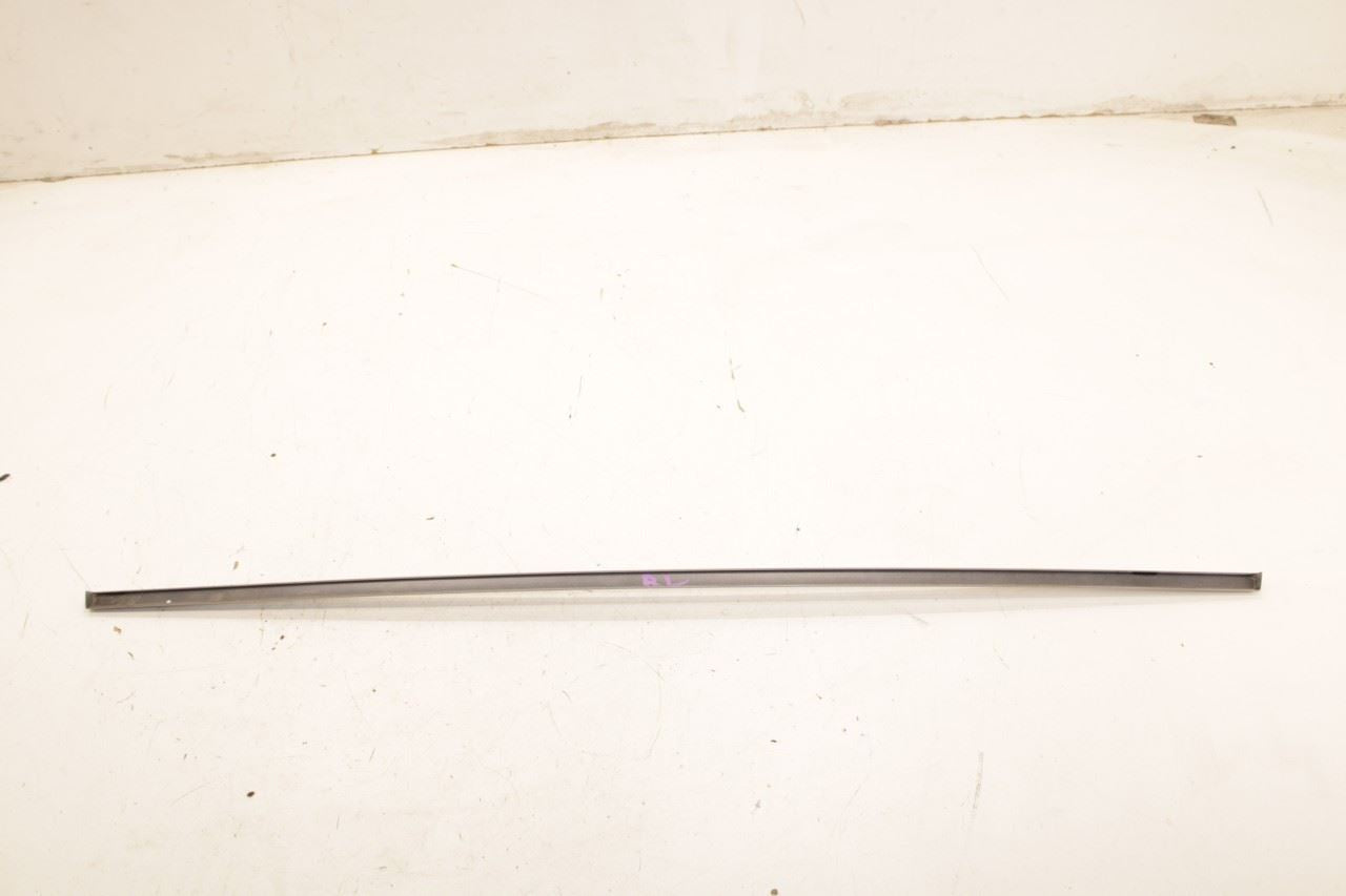 11-18 Porsche Cayenne Platinum RR LH Door Run Channel w Molding and Weatherstips - Alshned Auto Parts