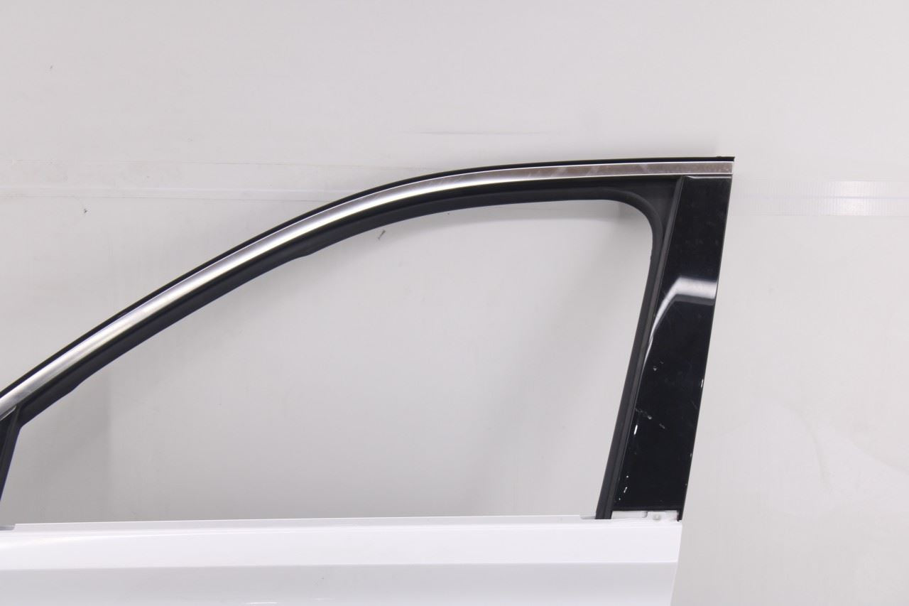 20-26 Hyundai Palisade Limited AWD Front Left Side Door Shell Panel 76003-S80004