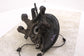 2014-2016 Subaru Impreza Sport Premium Rear Right Side Spindle Knuckle Hub14