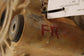 2024-2025 Polaris RZR XP 1000 Ultimate 999cc Front Differential Gearcase 1337251 - Alshned Auto Parts