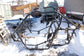 2024-2025 Polaris RZR XP 1000 Ultimate Welded Main Frame Chassis 1025390-458 OEM - Alshned Auto Parts