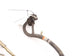 12-16 Ford F-250 Lariat 6.2L 6 Spd Auto Transmission (6R140) Wire Harness *ReaD* - Alshned Auto Parts