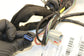 15-17 Jeep Wrangler Sport 2dr Front Right Passenger Door Wire Harness 68244616AA - Alshned Auto Parts