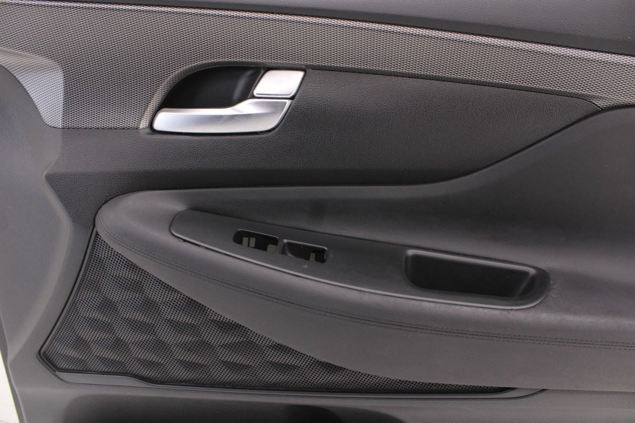 19-20 Hyundai Santa Fe SEL Front Right Door Trim Panel 82308-S2080-NNB OEM *ReaD - Alshned Auto Parts