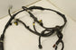 2020-2023 Nissan Sentra 2.0L Engine Room Wire Harness 24012-6LW0A OEM *ReaD* - Alshned Auto Parts