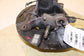 2011-2017 BMW X3 xDrive28i Front Right Side Spindle Knuckle Hub 31216855954 OEM - Alshned Auto Parts