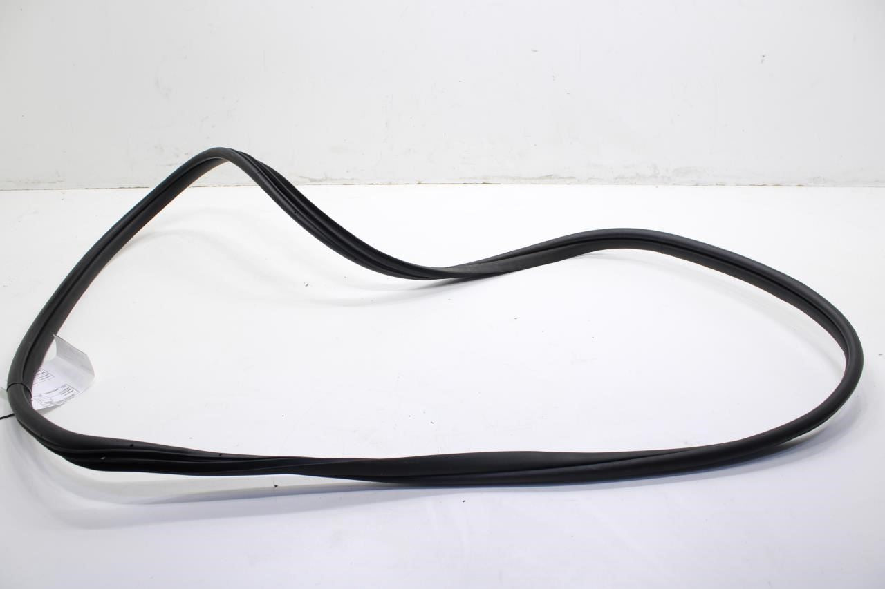 2020-2022 Hyundai Sonata SE Front Left Door Weatherstrip On Body 82110-L0000 OEM - Alshned Auto Parts