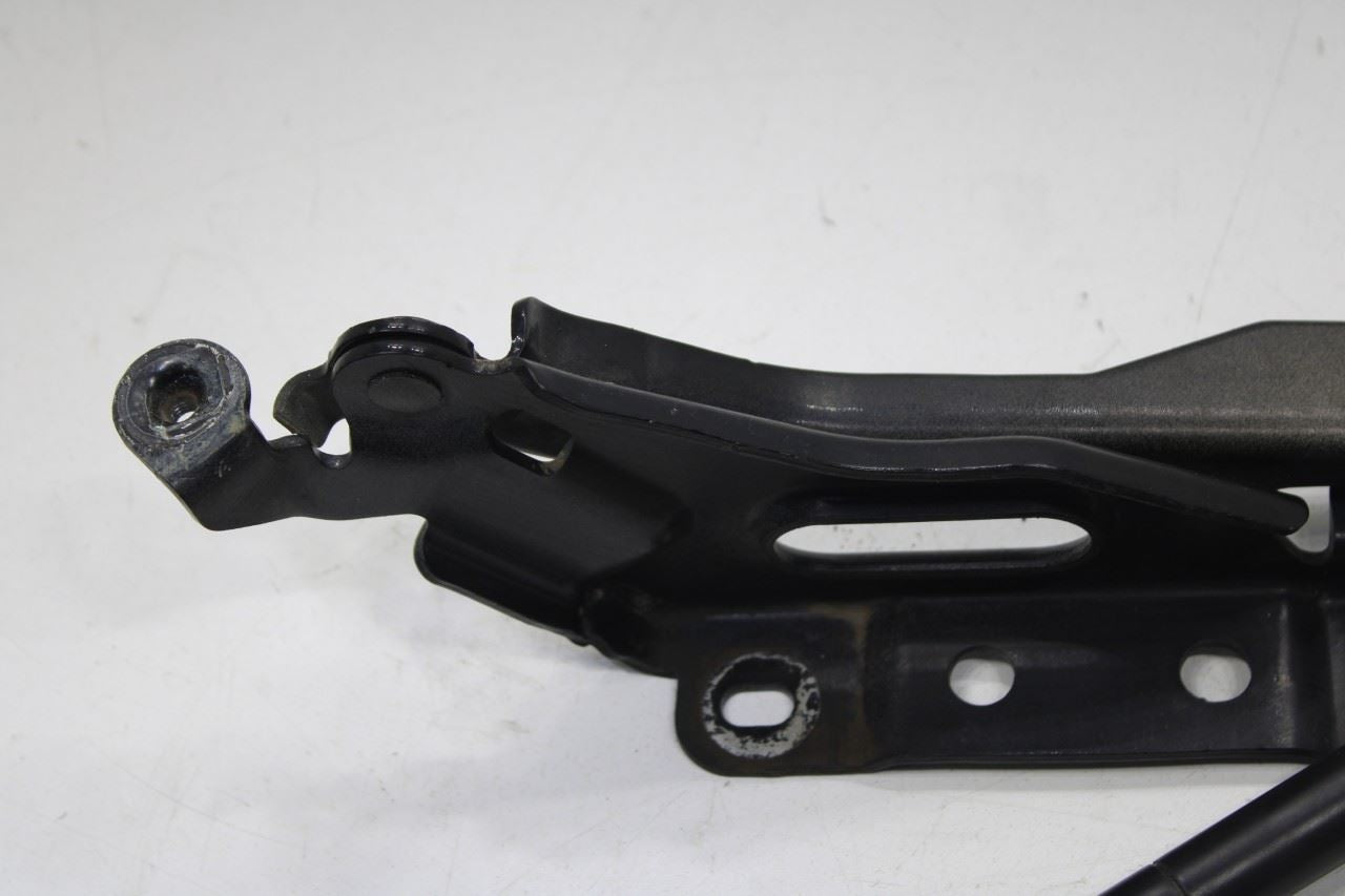 2015-20 Ford F150 Super Cab Lariat Front RH and LH Hood Hinge Set w/ Lift Struts - Alshned Auto Parts