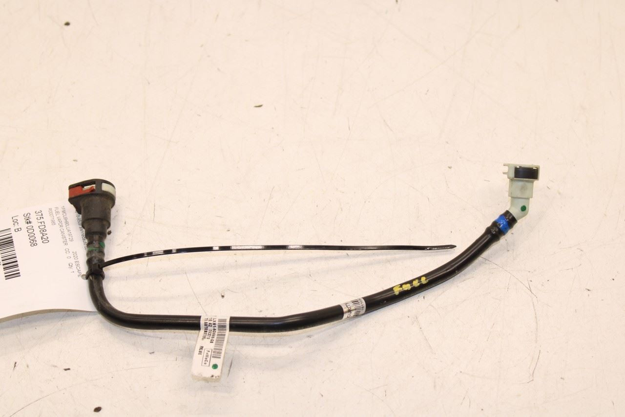 2020-2025 Ford Escape SEL 2.0L AWD Fuel Emission System Vapor Canister Hose Tube - Alshned Auto Parts