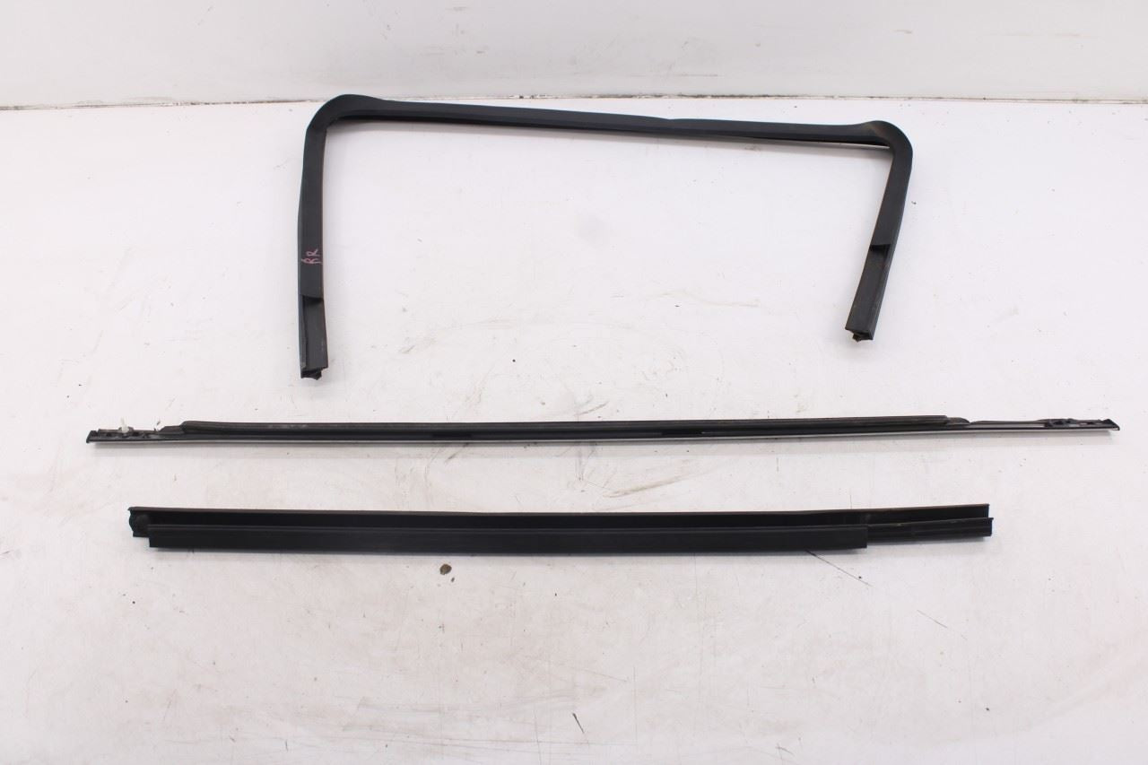 2010-20 Dodge Grand Caravan SXT Rear Right Door Window Run Channel Trim Belt Set7