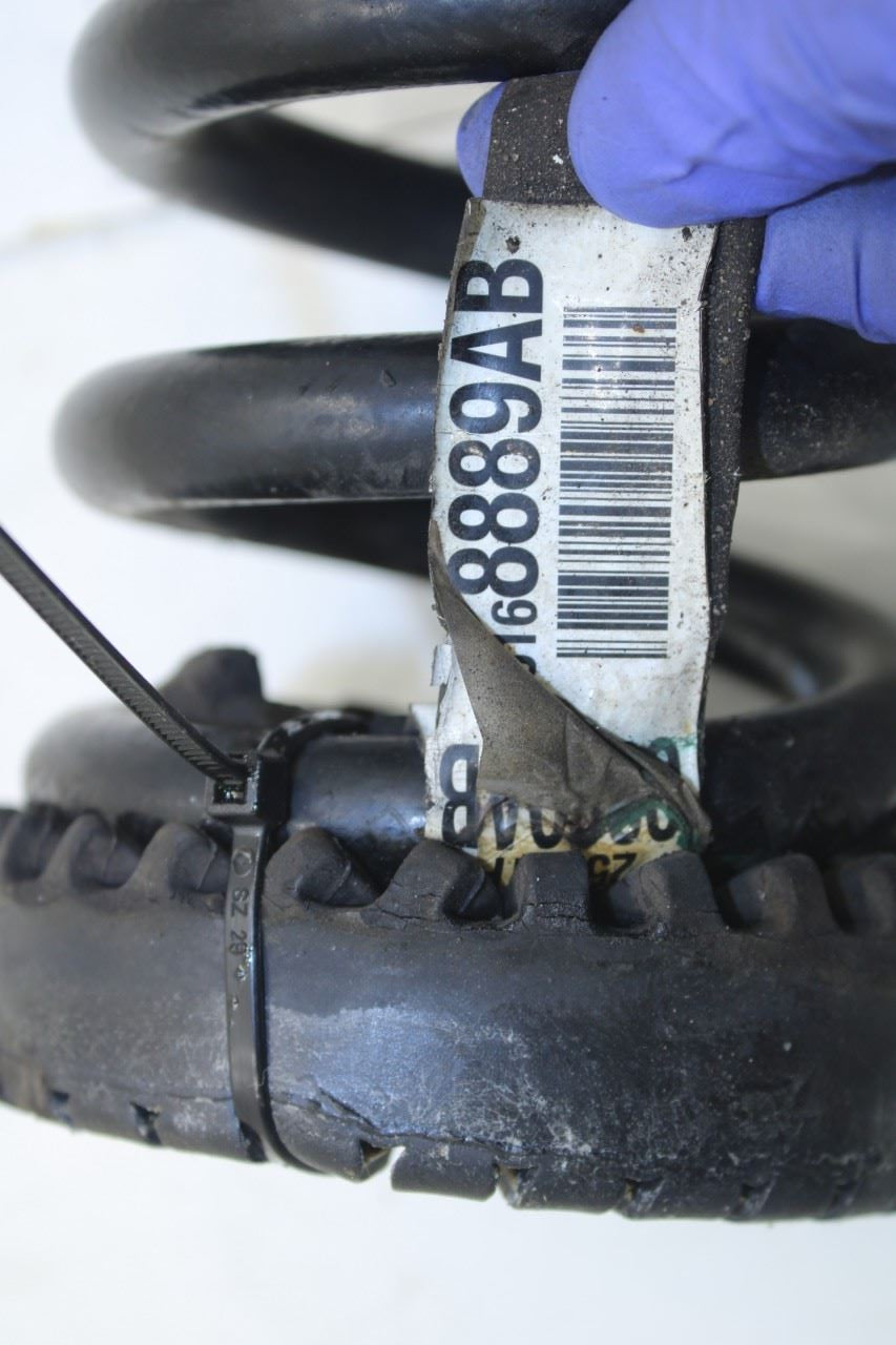 2014-16 Dodge Challenger SXT RWD Rear Right or Left Side Suspension Coil Spring - Alshned Auto Parts