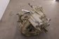 2017-2019 Polaris RZR XP 1000 999cc CVT Automatic Transmission Gearcase 1333694 0