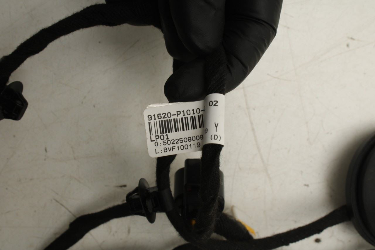 2023-2025 Kia Sportage Hybrid EX Rear Left Door Wire Harness 91620-P1010 OEM - Alshned Auto Parts