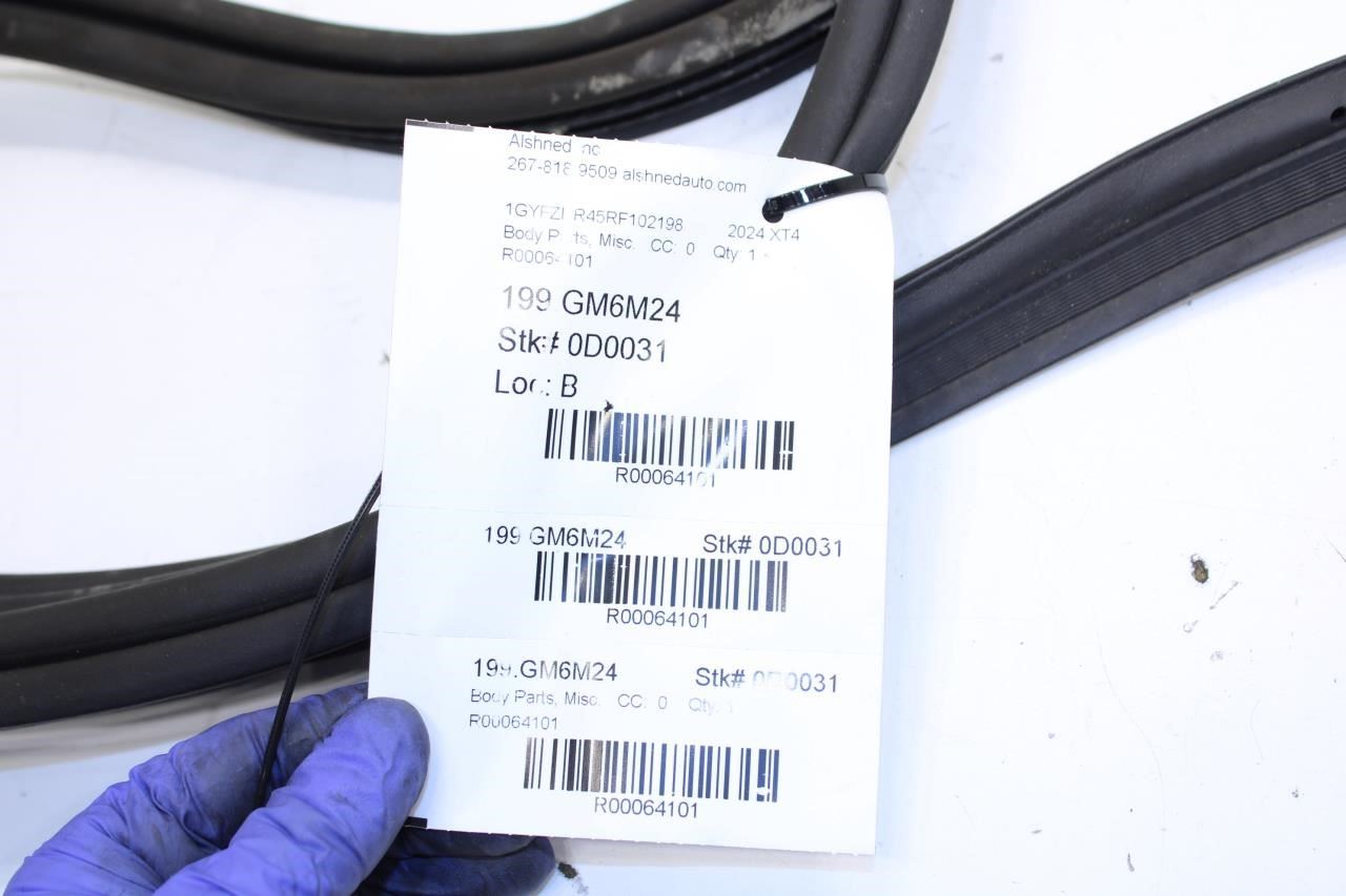 2019-2025 Cadillac XT4 Premium Rear Liftgate Back Door Weatherstrip 84628014 OEM - Alshned Auto Parts