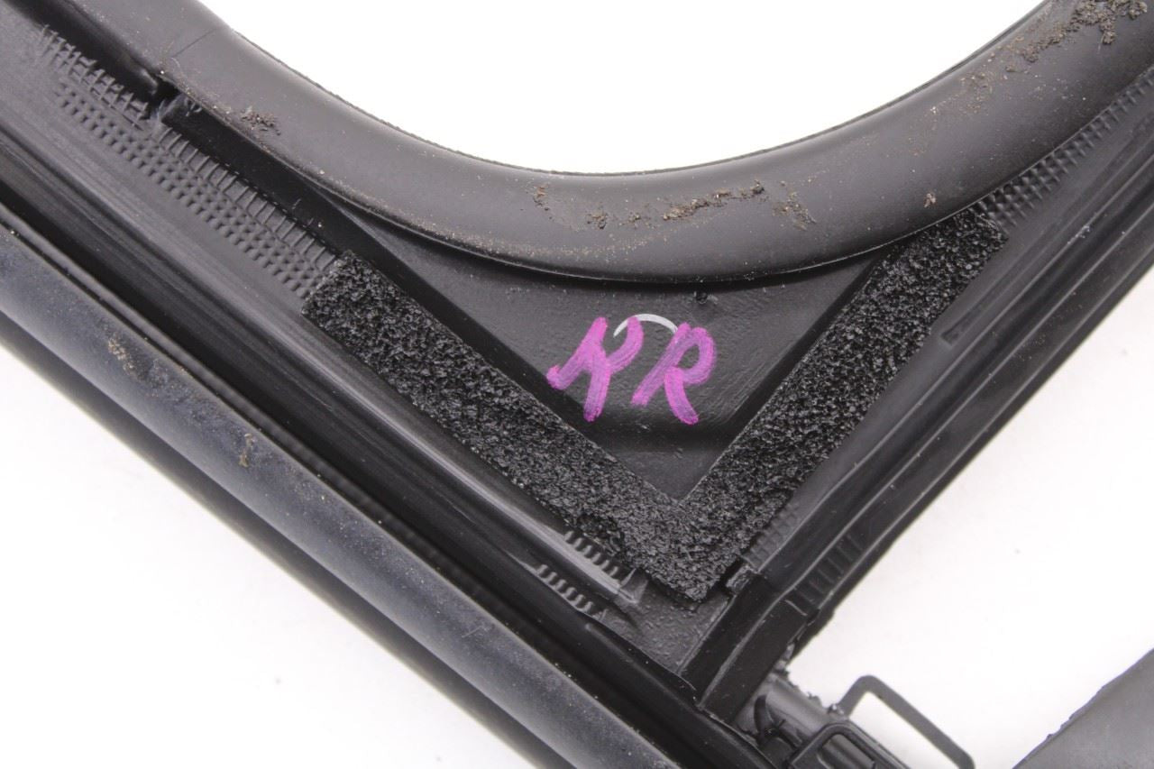 19-20 Hyundai Santa Fe SEL Rear Right Door Run Channel w/ Belt Weatherstrip Set - Alshned Auto Parts