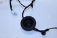 2019-2020 Hyundai Elantra SEL Rear Right Side Door Wire Harness 91665-F3010 OEM - Alshned Auto Parts