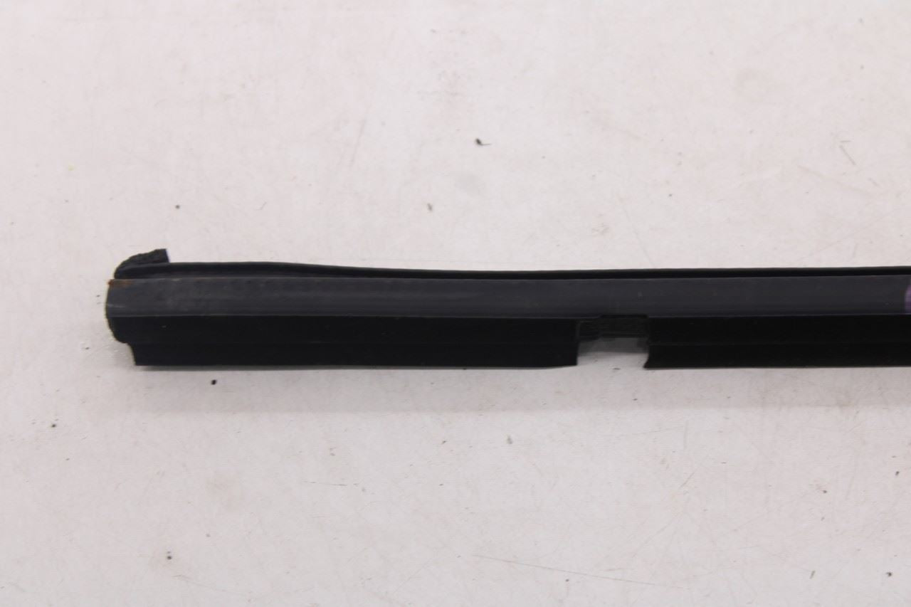2018-2026 Ford Expedition Max XLT Rear Left Door Belt Molding and Weatherstrip12