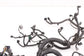2019-22 Infiniti QX50 LUXE 2.0L FWD Engine Wiring Harness 24011-5VG3A OEM *ReaD* - Alshned Auto Parts