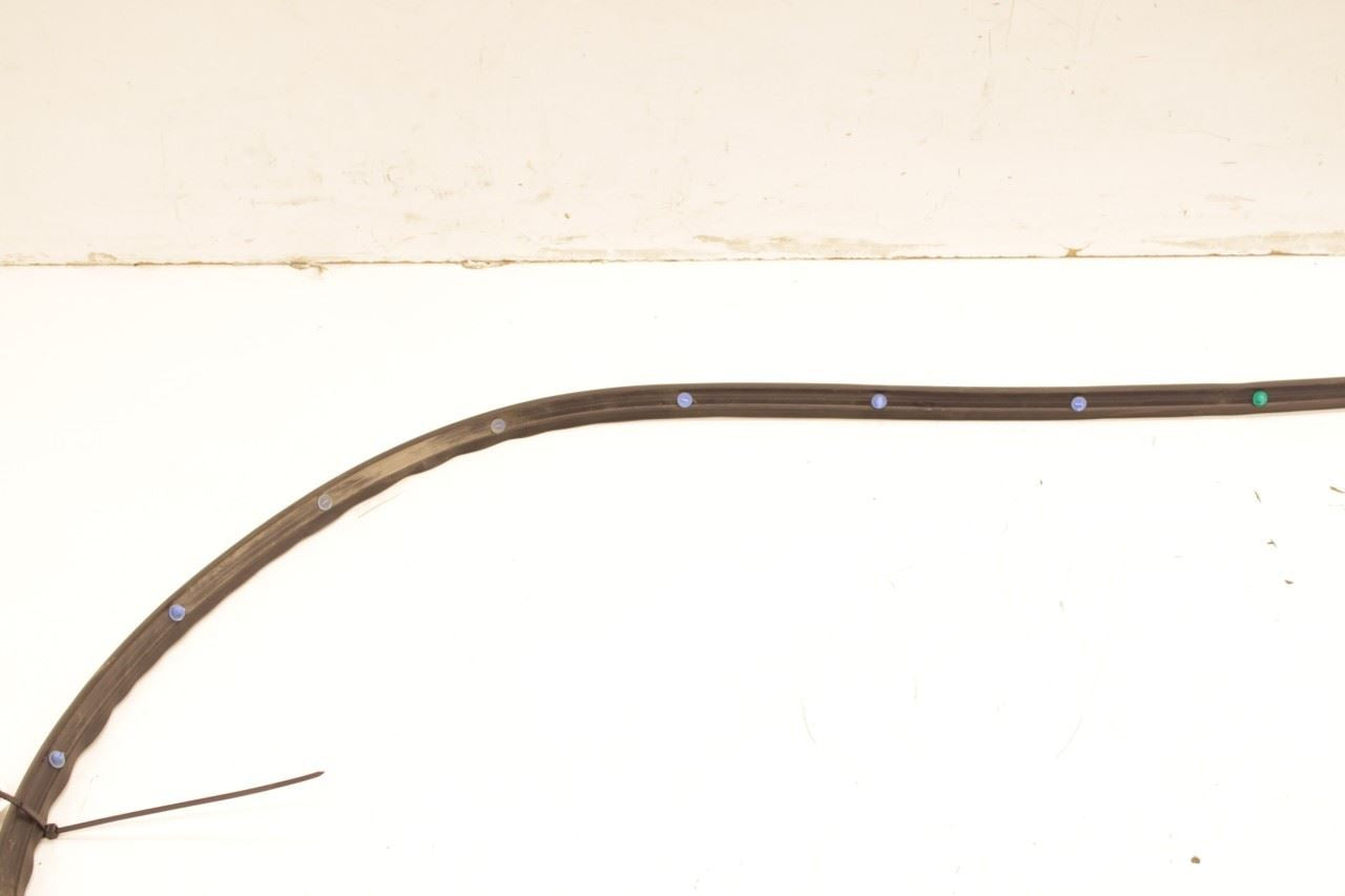 22-24 Hyundai Tucson SEL Rear Right Passenger Door Weatherstrip Seal 83140-CW000 - Alshned Auto Parts