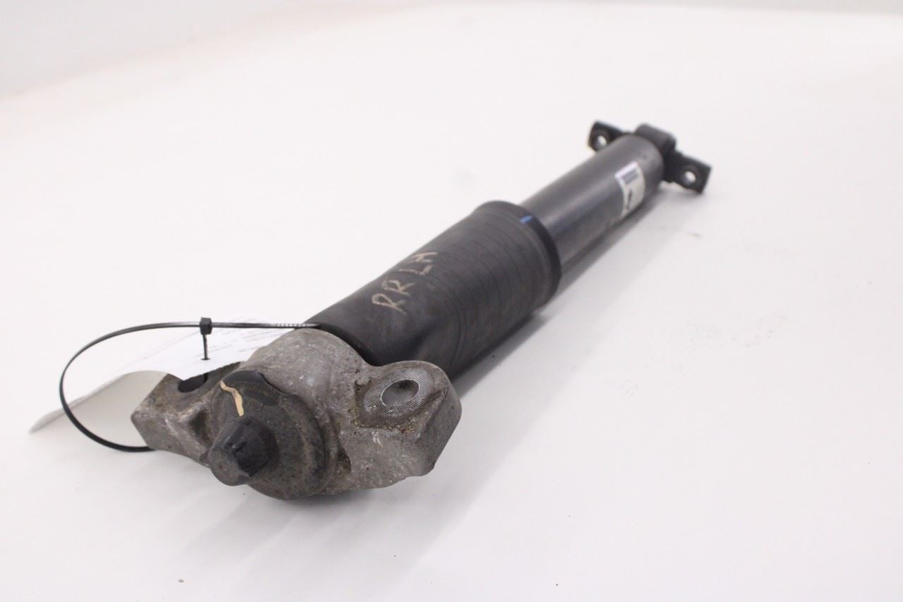 2018-26 Ford Mustang GT 5.0L RWD Rear Suspension Left Side Shock Strut Absorber - Alshned Auto Parts