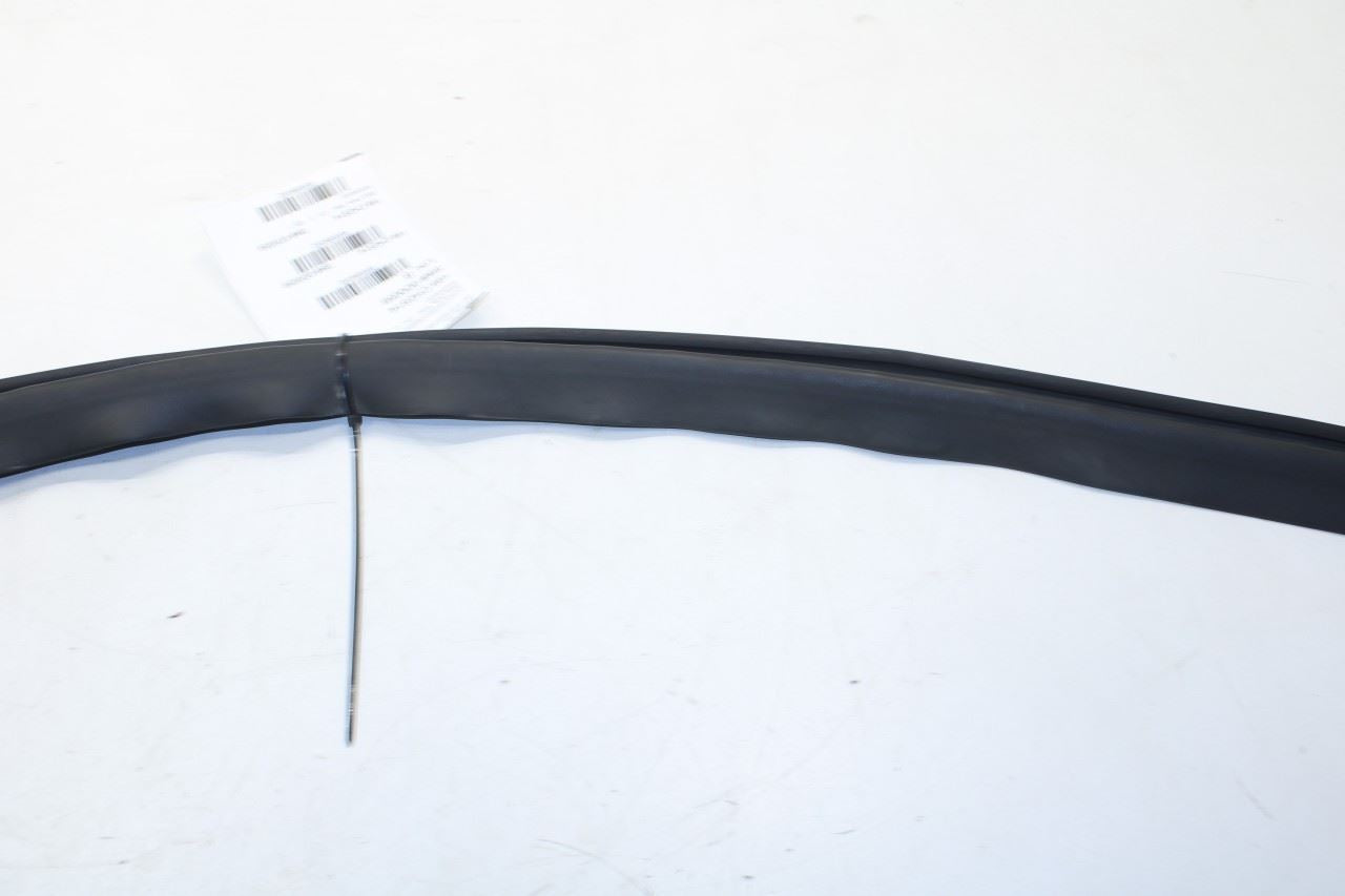 2008-2023 Dodge Challenger Front Right Door Run Channel w/ Weatherstrip On Body - Alshned Auto Parts