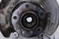 2014-24 Mini Hardtop Cooper 1.5L FWD Front Passenger Right Side Spindle Knuckle - Alshned Auto Parts
