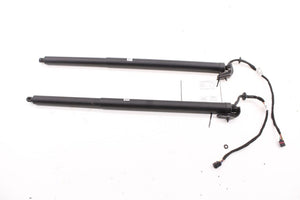 19-25 Infiniti QX50 Luxe RR Right and Left Liftgate Power Lift Strut 90560-5NA0B