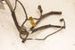 1997-1998 Chevrolet Corvette 5.7L Fuel Tank Auxiliary Feed Return Lines Hose Set - Alshned Auto Parts