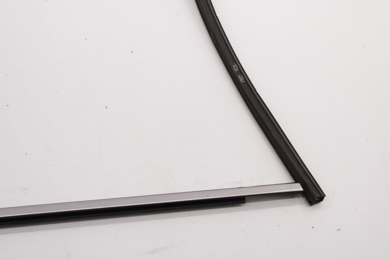 2013-2019 Nissan Sentra SL Rear Right Door Run Channel with Belt Outer Molding - Alshned Auto Parts