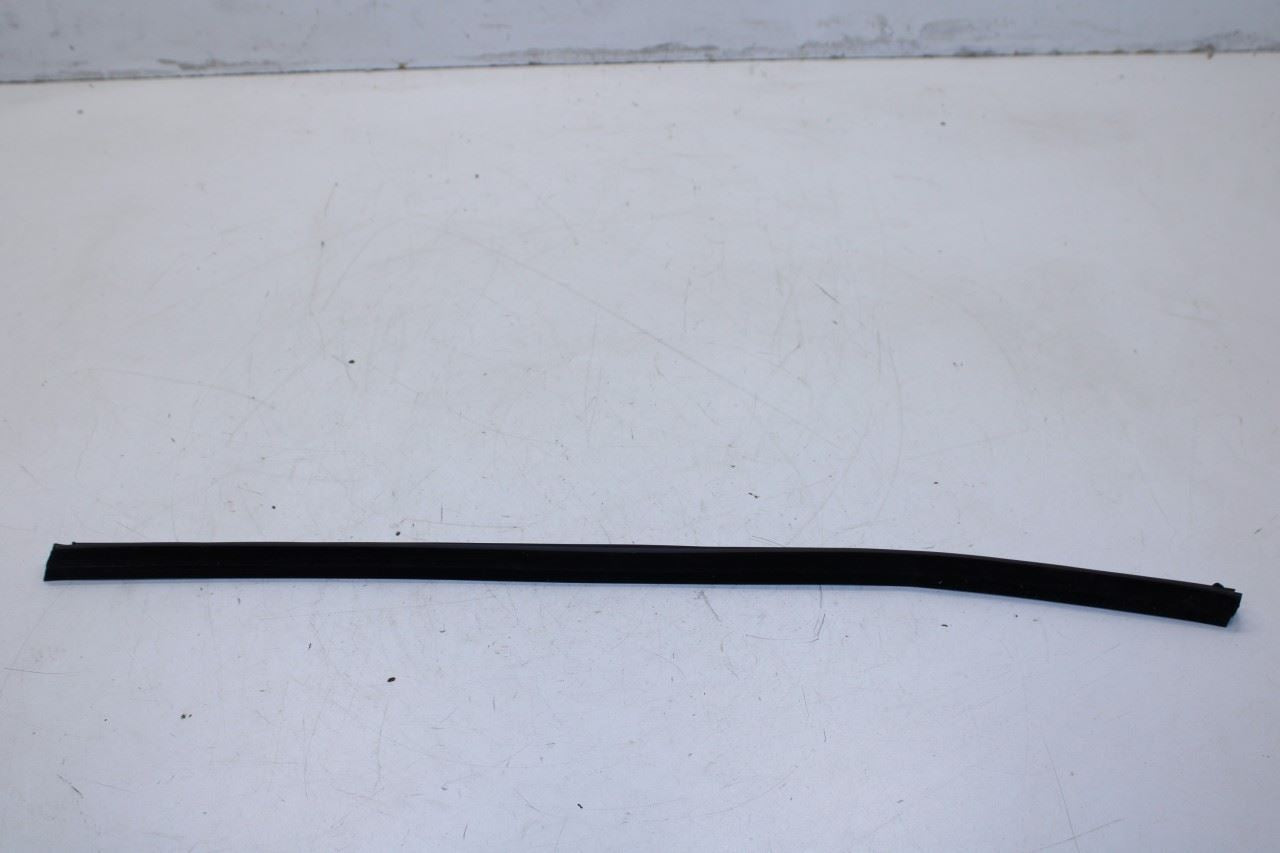 2016-20 Hyundai Elantra Front Left Door Run Channel w/ Belt Molding Weatherstrip - Alshned Auto Parts