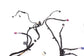 2022-2025 BMW 430i Gran Coupe xDrive Dash Instrument Panel Wire Harness 5A5F158 - Alshned Auto Parts