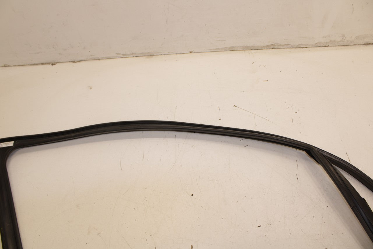 2018 Volkswagen Atlas S FR LH Door Run Channel w/ Belt Molding and Weatherstrip - Alshned Auto Parts