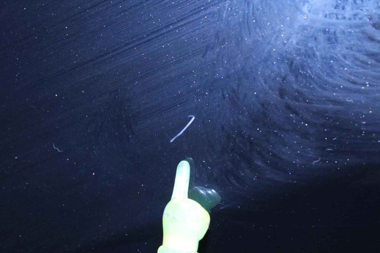 2017-2020 Jeep Compass Latitude Front Left Driver Fender Panel 68243851AA *ReaD* - Alshned Auto Parts