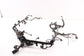 21-24 Honda Odyssey Touring 3.5L LH Side Engine Wire Harness 32120-THR-A42 *ReaD - Alshned Auto Parts